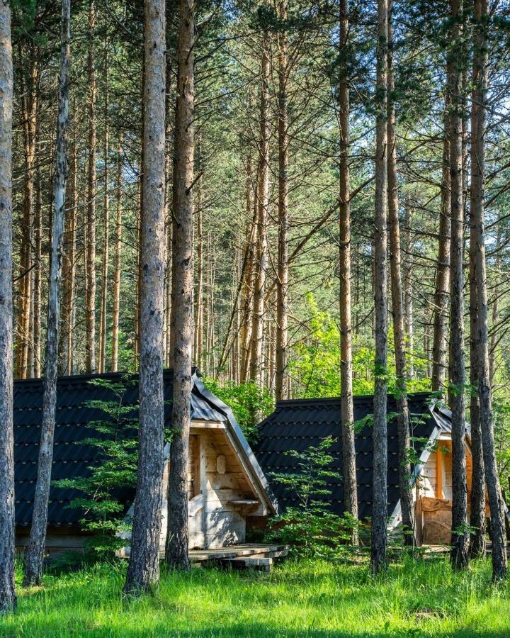 Eco Camp Chalets Pod Gorom Zabljak  Luaran gambar